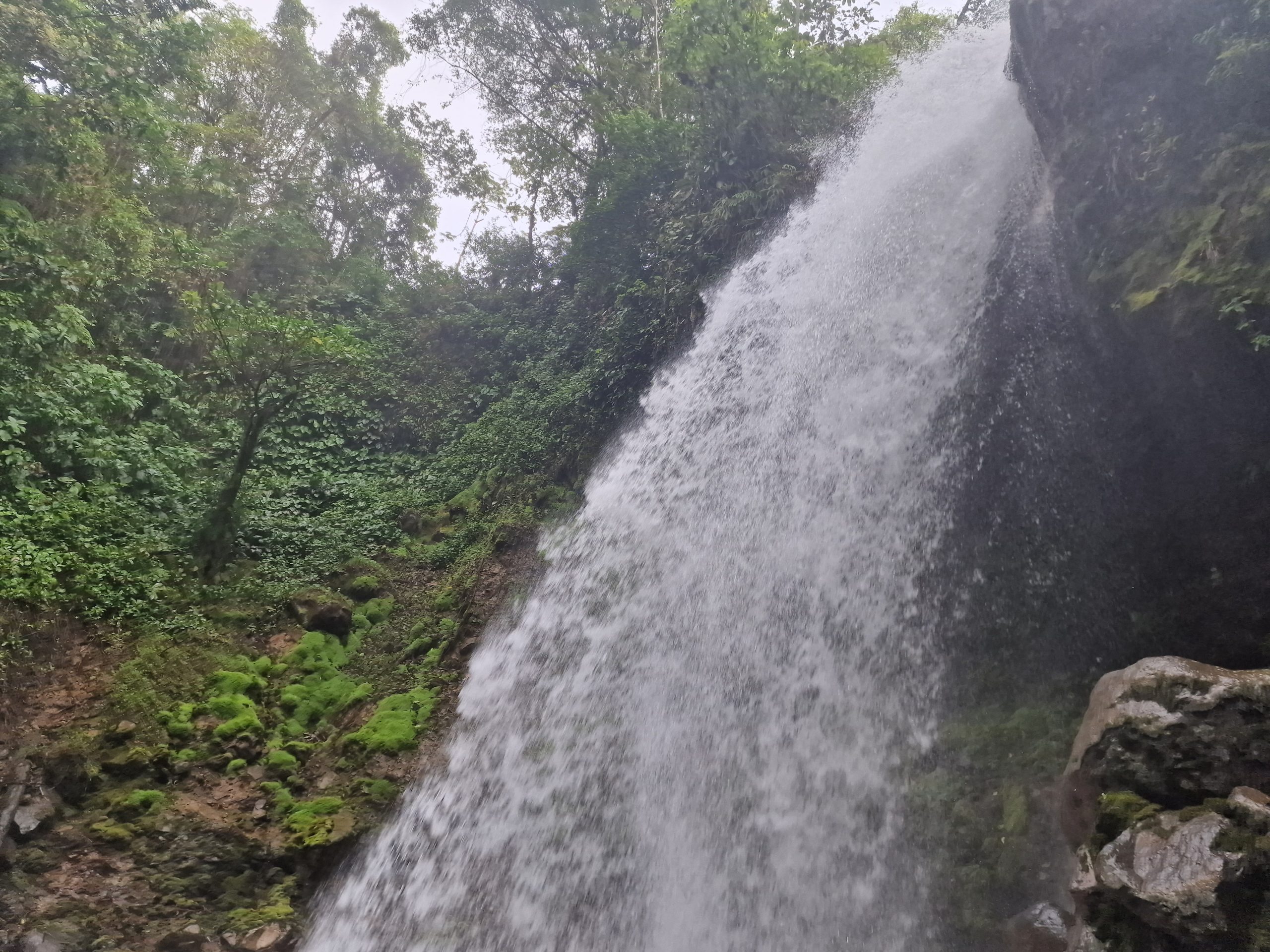 Catarata La Morfo Azul_1