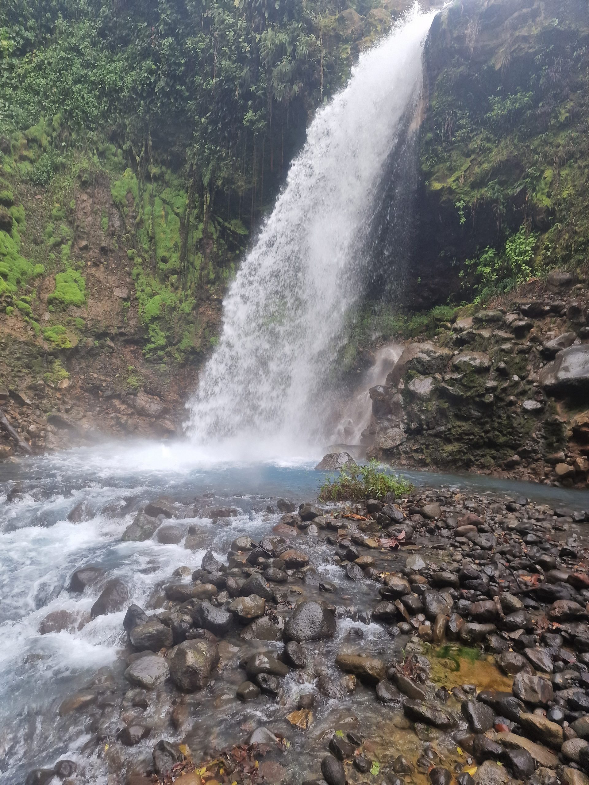 Catarata La Morfo Azul_2
